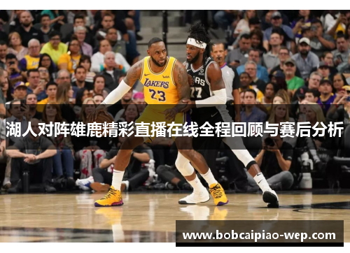 湖人对阵雄鹿精彩直播在线全程回顾与赛后分析